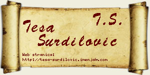 Teša Šurdilović vizit kartica